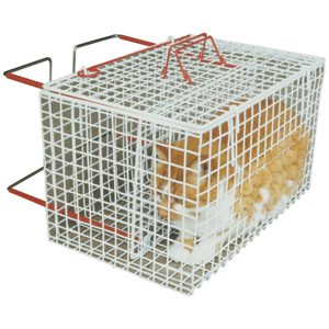 cat crush cage